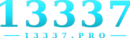 13337 logo